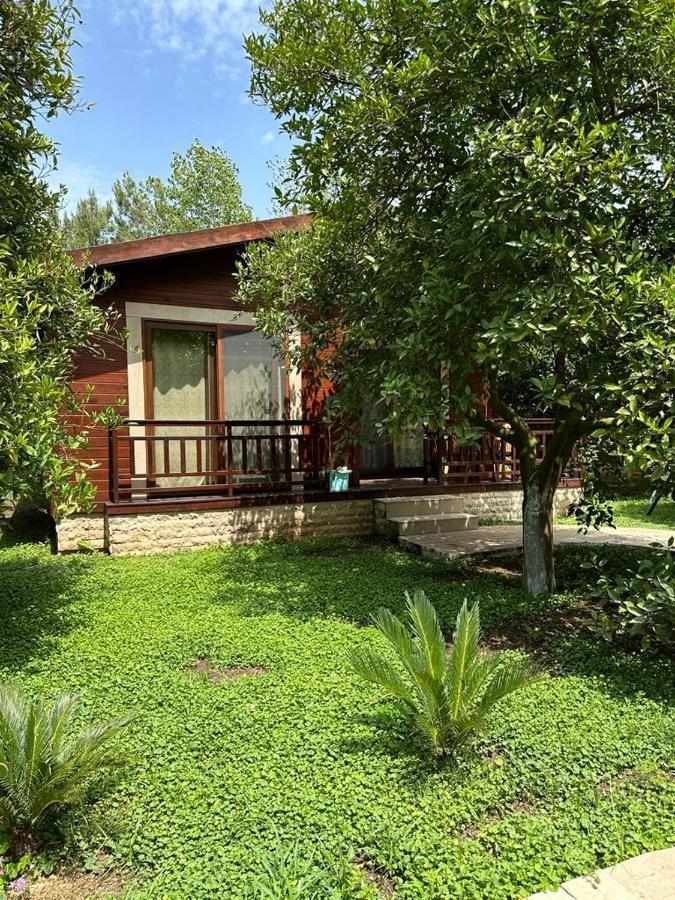 Cirali Villas 2 Exterior foto