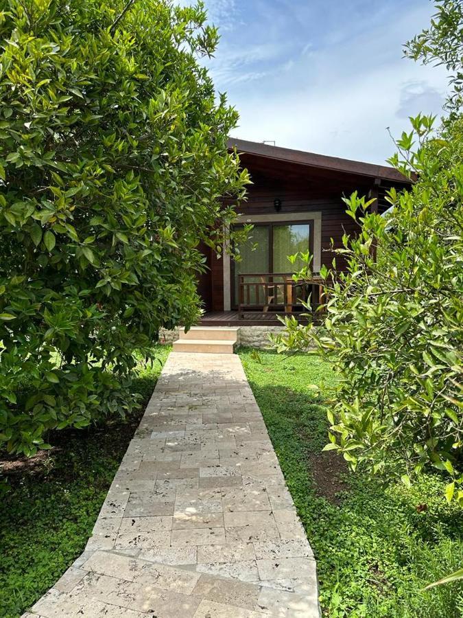 Cirali Villas 2 Exterior foto