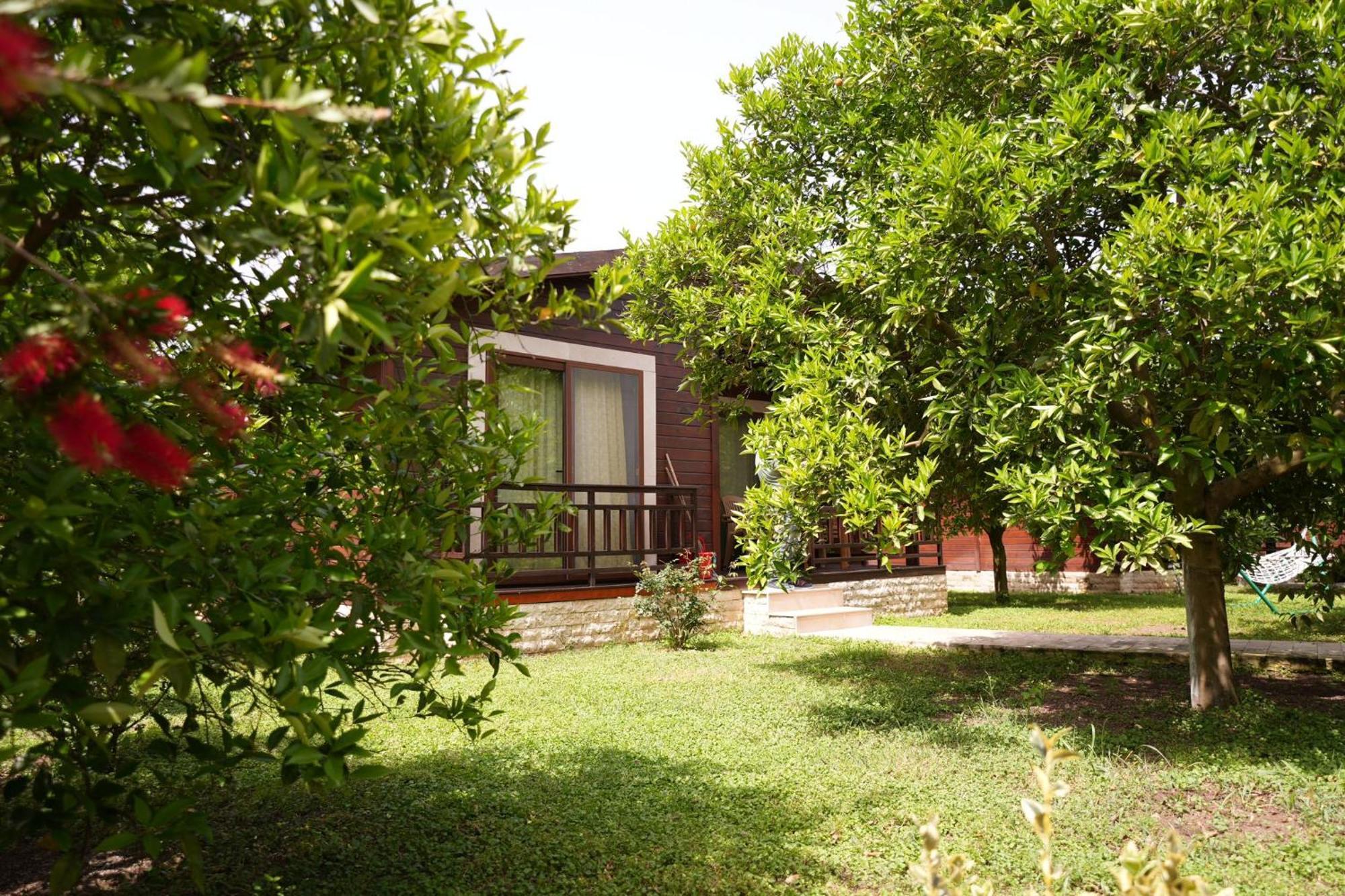 Cirali Villas 2 Exterior foto