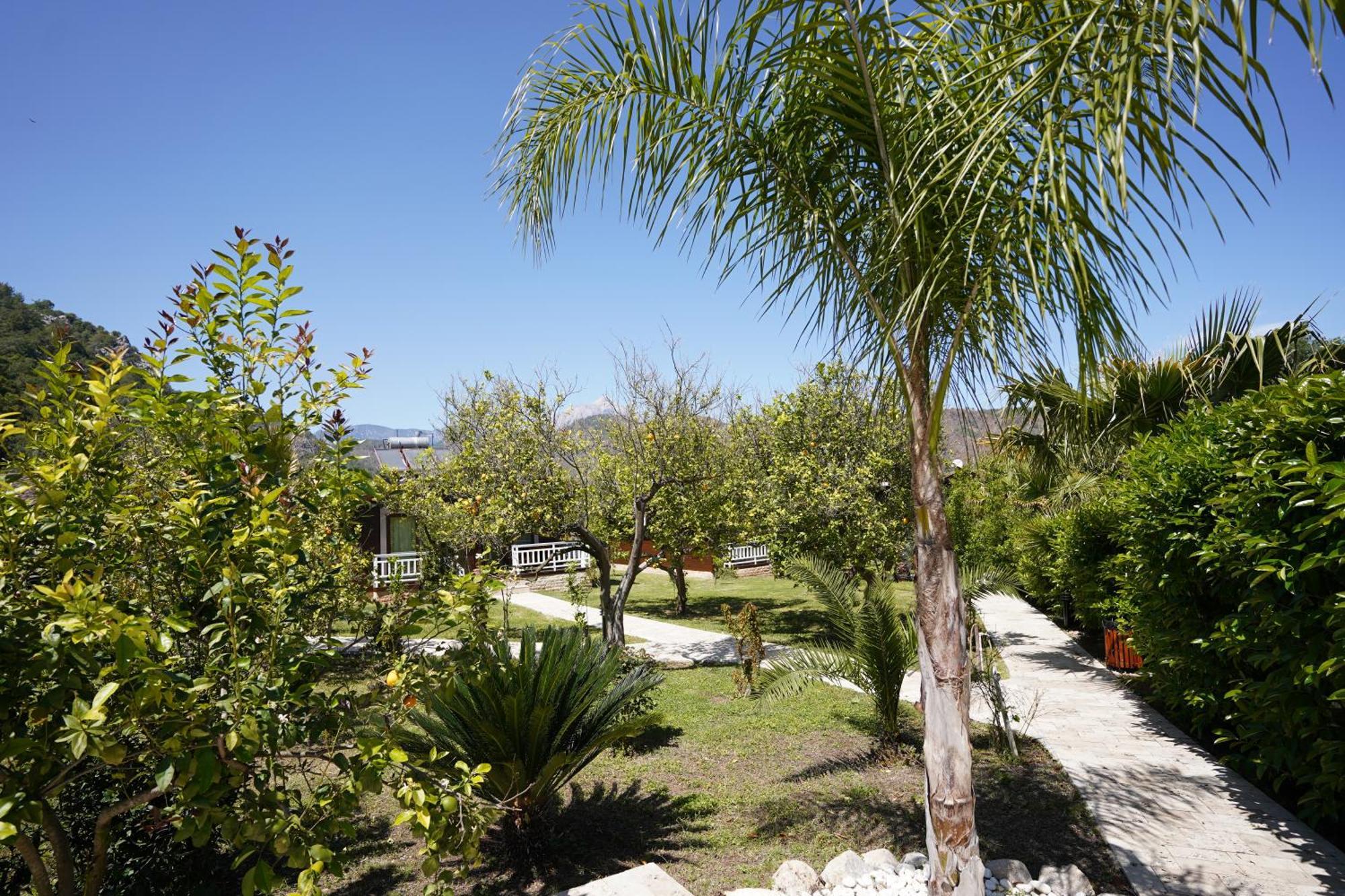 Cirali Villas 2 Exterior foto