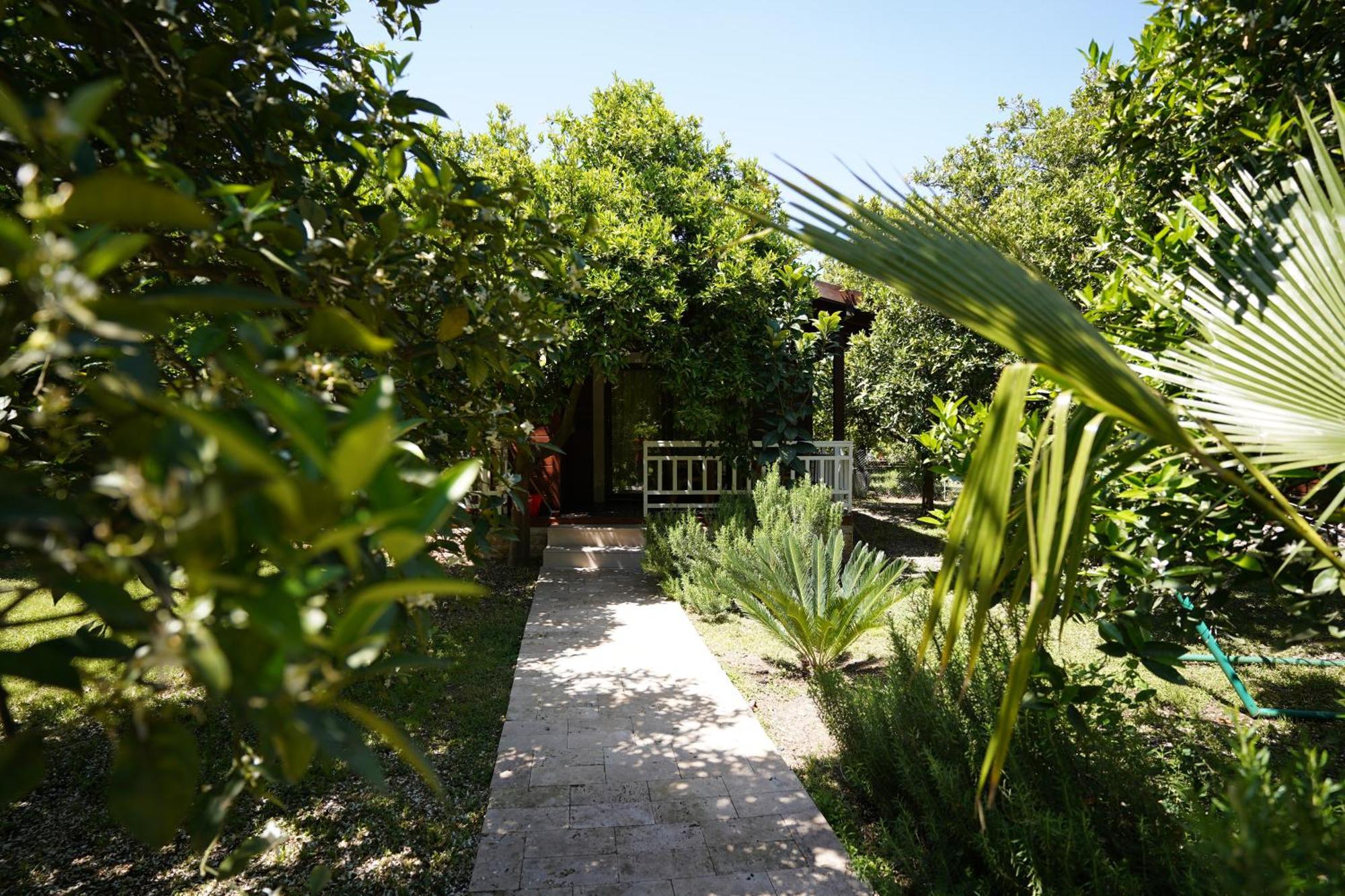 Cirali Villas 2 Exterior foto
